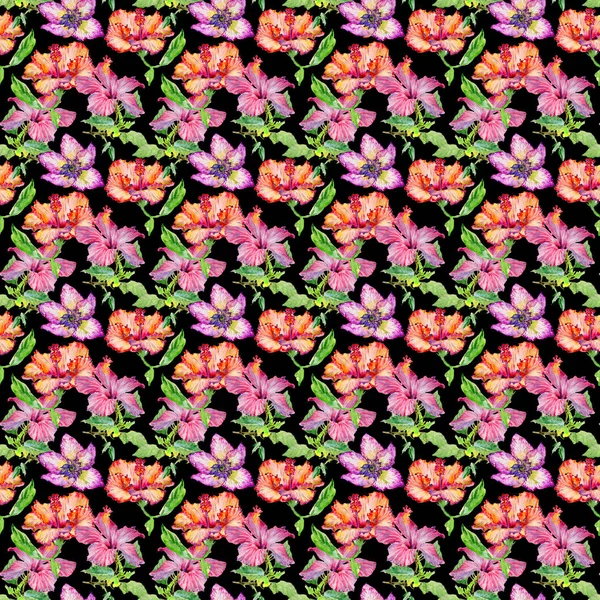 Flor silvestre patrón de flores de hibisco en un estilo de acuarela aislado . — Foto de Stock