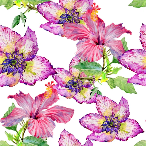 Padrão de flor de hibisco de flores silvestres em um estilo aquarela isolado . — Fotografia de Stock