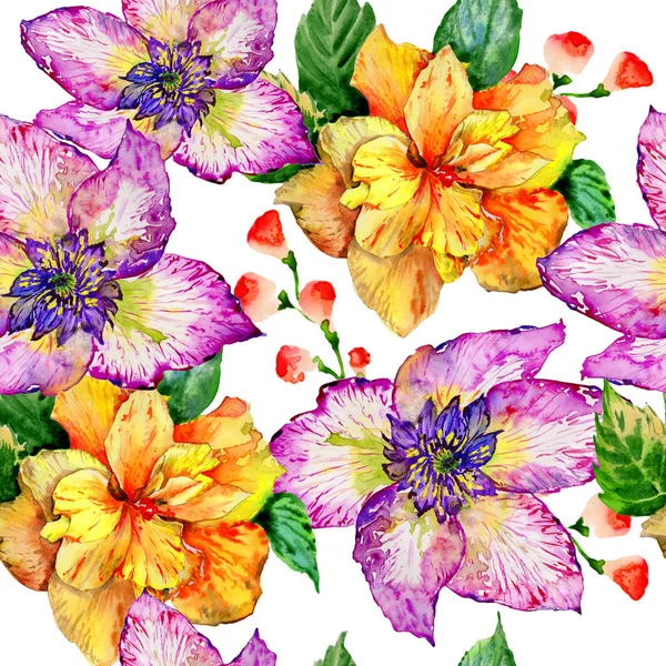 Wildflower hibiscus flower pattern in a watercolor style isolated. — Stock Photo, Image