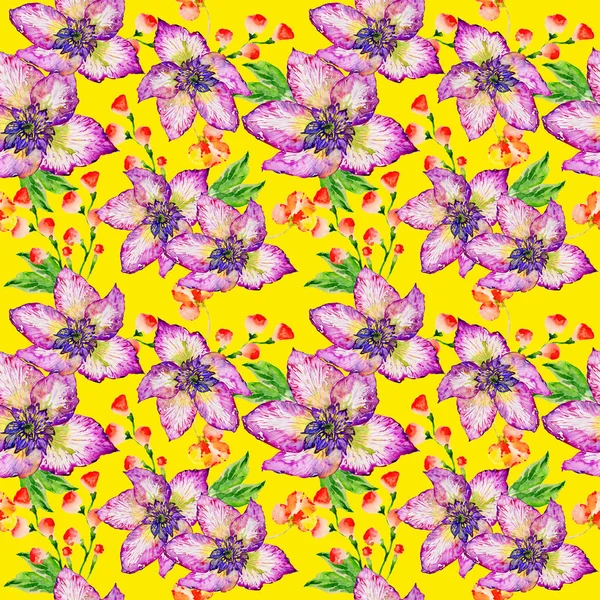 Flor silvestre patrón de flores de hibisco en un estilo de acuarela aislado . —  Fotos de Stock