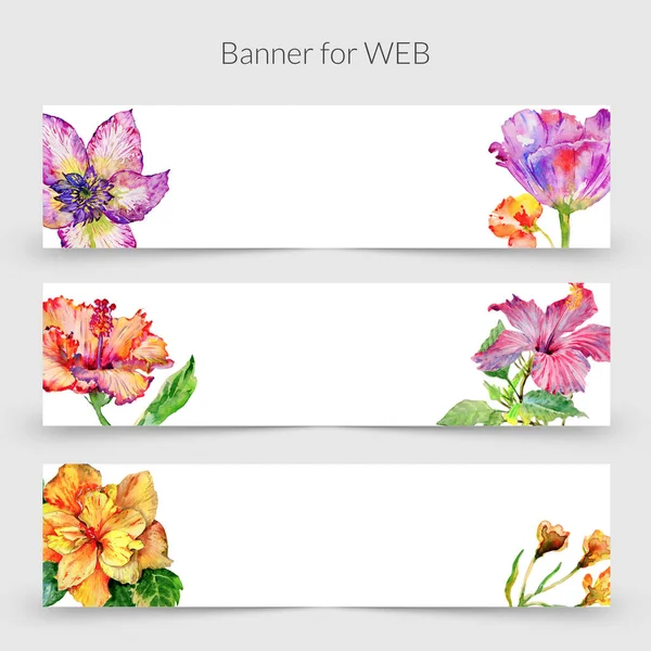 Wildflower hibiscus bloem banner in een aquarel stijl geïsoleerd. — Stockfoto