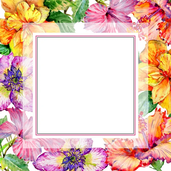 Quadro de flor de hibisco de flores silvestres em um estilo aquarela isolado . — Fotografia de Stock