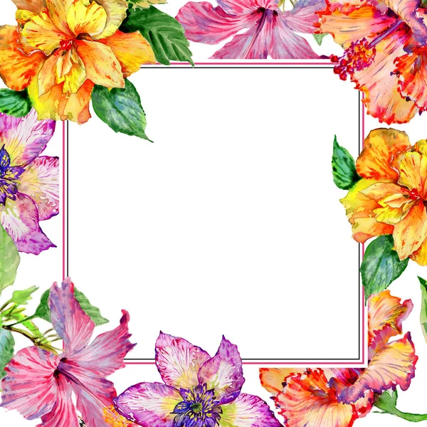 Wildflower hibiscus flower frame in a watercolor style isolated. — Stock Photo, Image