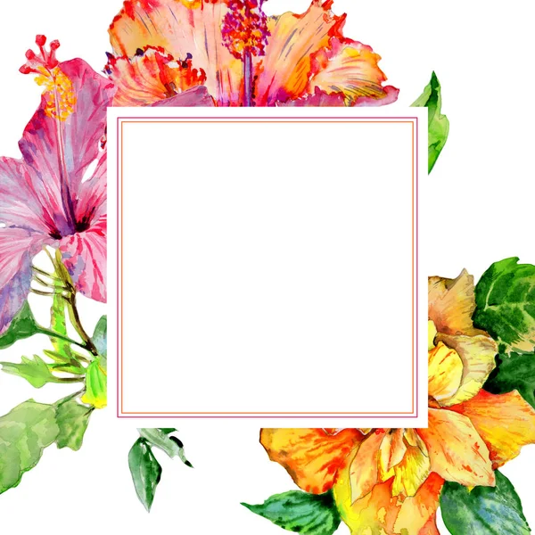 Wildflower hibiscus flower frame in a watercolor style isolated. — Stock Photo, Image