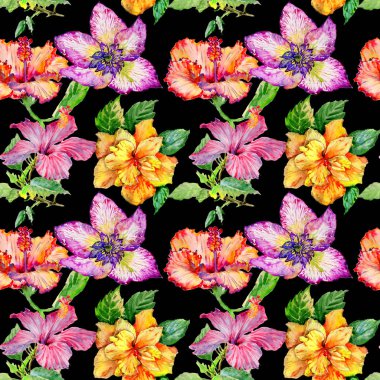 Kır çiçeği hibiscus çiçek deseni izole bir suluboya tarzında.