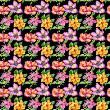 Kır çiçeği hibiscus çiçek deseni izole bir suluboya tarzında.