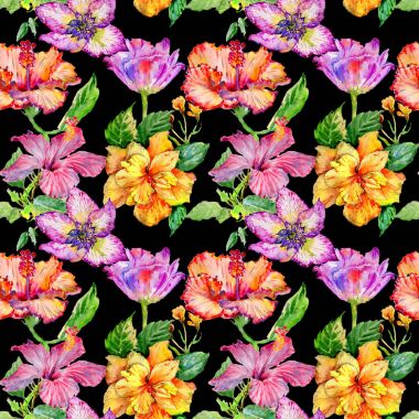 Kır çiçeği hibiscus çiçek deseni izole bir suluboya tarzında.