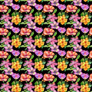 Kır çiçeği hibiscus çiçek deseni izole bir suluboya tarzında.