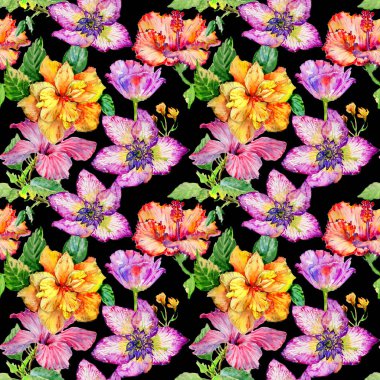 Kır çiçeği hibiscus çiçek deseni izole bir suluboya tarzında.