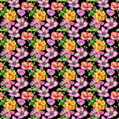 Kır çiçeği hibiscus çiçek deseni izole bir suluboya tarzında.