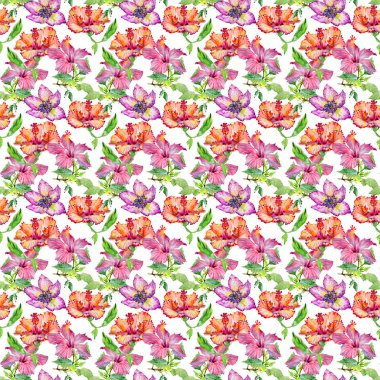 Kır çiçeği hibiscus çiçek deseni izole bir suluboya tarzında.