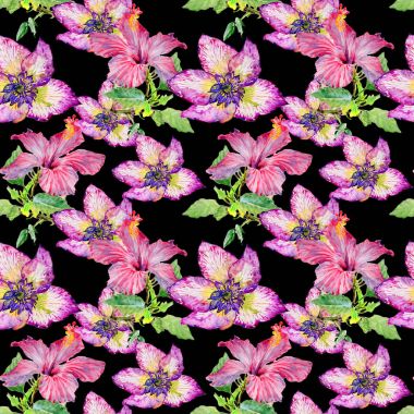 Kır çiçeği hibiscus çiçek deseni izole bir suluboya tarzında.