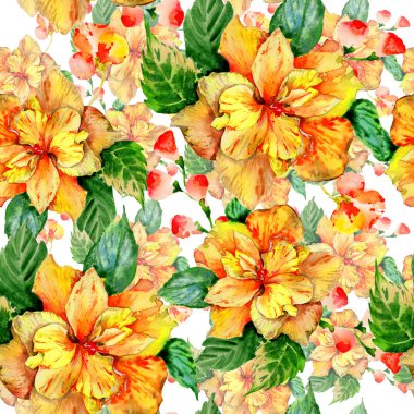 Kır çiçeği hibiscus çiçek deseni izole bir suluboya tarzında.