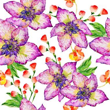 Kır çiçeği hibiscus çiçek deseni izole bir suluboya tarzında.