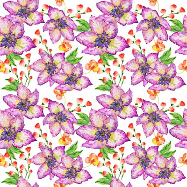 Kır çiçeği hibiscus çiçek deseni izole bir suluboya tarzında.