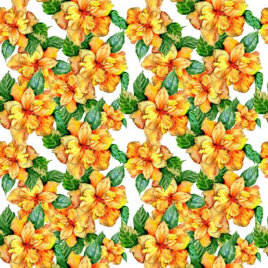 Kır çiçeği hibiscus çiçek deseni izole bir suluboya tarzında.