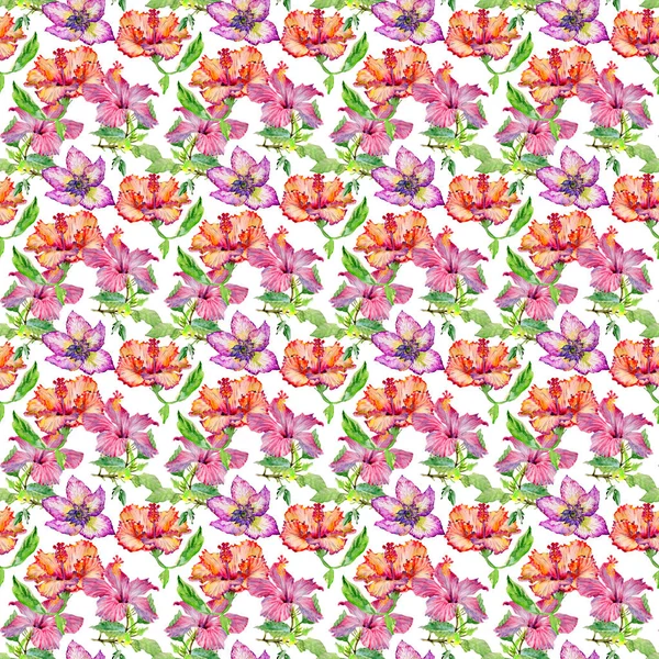 Wildblume Hibiskus Blumenmuster in einem Aquarell-Stil isoliert. — Stockfoto