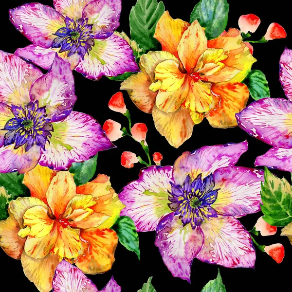 Modèle de fleur d'hibiscus de fleur sauvage dans un style aquarelle isolé . — Photo
