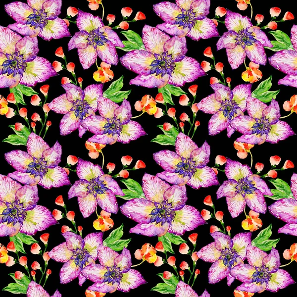 Wildflower hibiscus bloemenpatroon in een aquarel stijl geïsoleerd. — Stockfoto