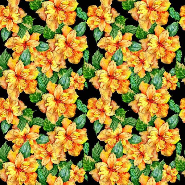 Flor silvestre patrón de flores de hibisco en un estilo de acuarela aislado . —  Fotos de Stock