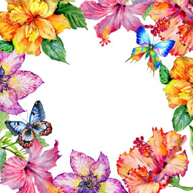 Kır çiçeği hibiscus çiçek çerçeve izole bir suluboya tarzında.