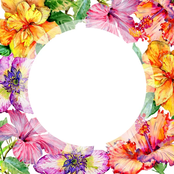 Wildblume Hibiskus Blume Rahmen in einem Aquarell-Stil isoliert. — Stockfoto
