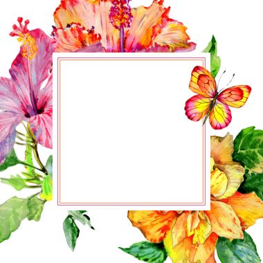 Kır çiçeği hibiscus çiçek çerçeve izole bir suluboya tarzında.