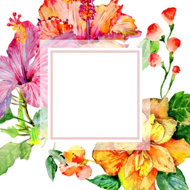 Kır çiçeği hibiscus çiçek çerçeve izole bir suluboya tarzında.