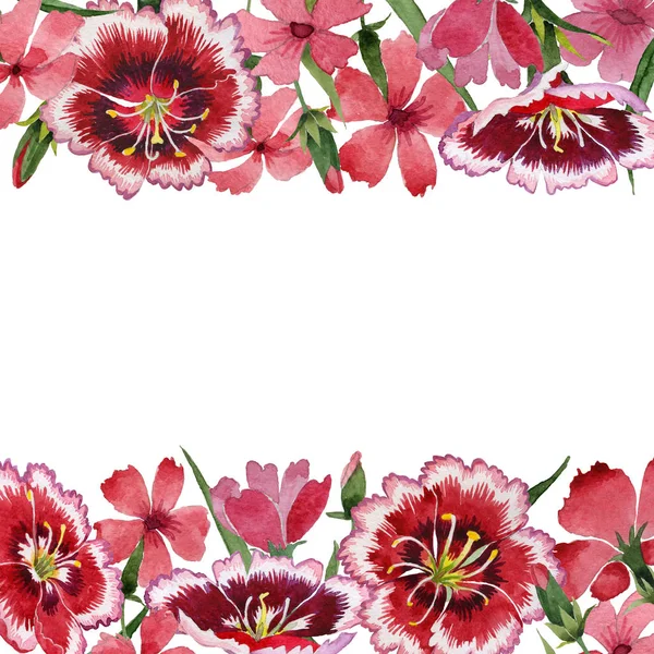 Wildflower carnation flower frame in a watercolor style isolated.