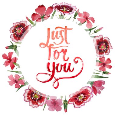 Kır çiçeği karanfil çiçek çerçeve izole bir suluboya tarzında.