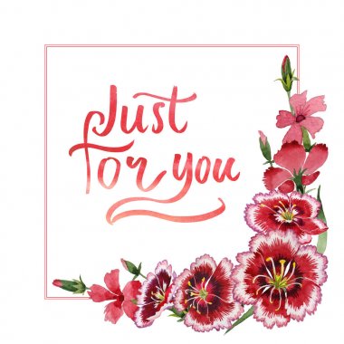 Kır çiçeği karanfil çiçek çerçeve izole bir suluboya tarzında.