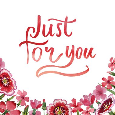 Kır çiçeği karanfil çiçek çerçeve izole bir suluboya tarzında.