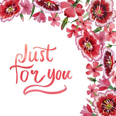 Kır çiçeği karanfil çiçek çerçeve izole bir suluboya tarzında.