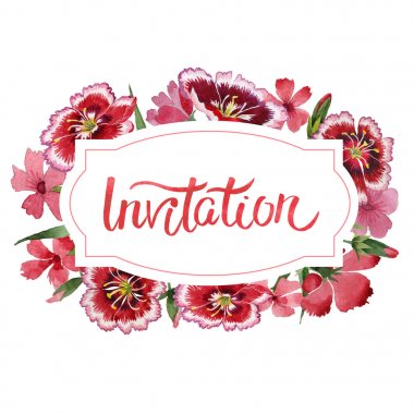 Kır çiçeği karanfil çiçek çerçeve izole bir suluboya tarzında.