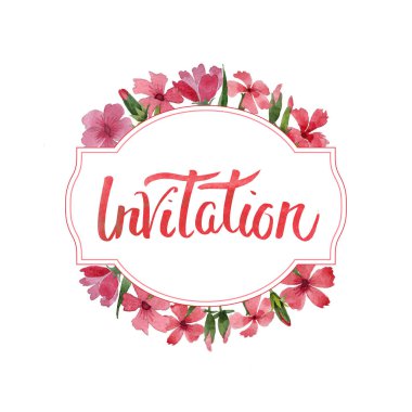 Kır çiçeği karanfil çiçek çerçeve izole bir suluboya tarzında.