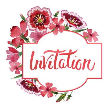 Kır çiçeği karanfil çiçek çerçeve izole bir suluboya tarzında.