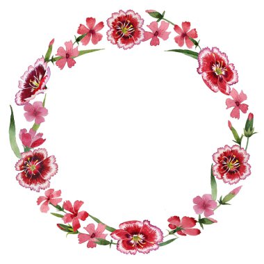 Kır çiçeği karanfil çiçek çelenk izole bir suluboya tarzında.