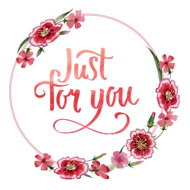 Kır çiçeği karanfil çiçek çerçeve izole bir suluboya tarzında.