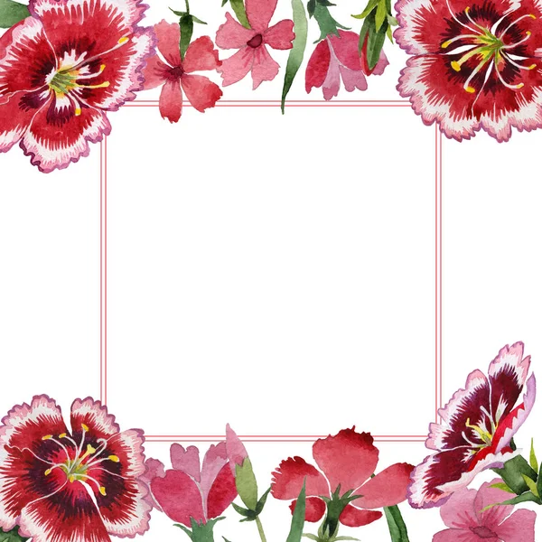 Wildflower carnation flower frame in a watercolor style isolated.