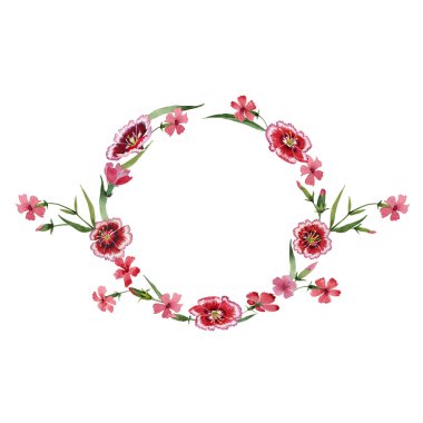 Kır çiçeği karanfil çiçek çelenk izole bir suluboya tarzında.