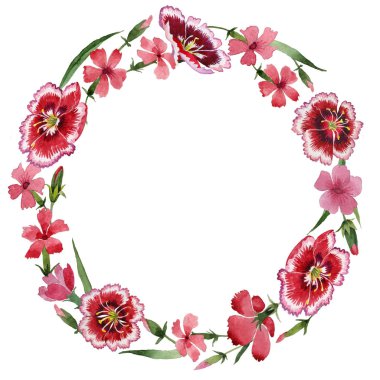 Kır çiçeği karanfil çiçek çelenk izole bir suluboya tarzında.