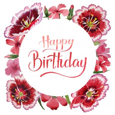 Kır çiçeği karanfil çiçek çerçeve izole bir suluboya tarzında.