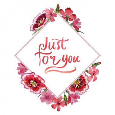 Kır çiçeği karanfil çiçek çerçeve izole bir suluboya tarzında.