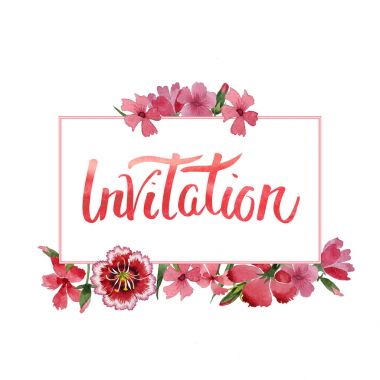 Kır çiçeği karanfil çiçek çerçeve izole bir suluboya tarzında.