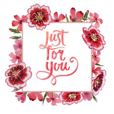 Kır çiçeği karanfil çiçek çerçeve izole bir suluboya tarzında.