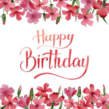 Kır çiçeği karanfil çiçek çerçeve izole bir suluboya tarzında.