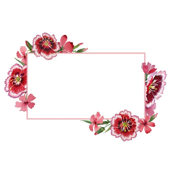 Wildflower carnation blomma ram i akvarell stil isolerade. — Stockfoto