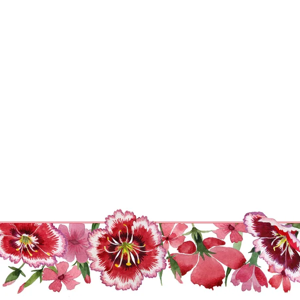 Wildflower carnation flower frame in a watercolor style isolated.