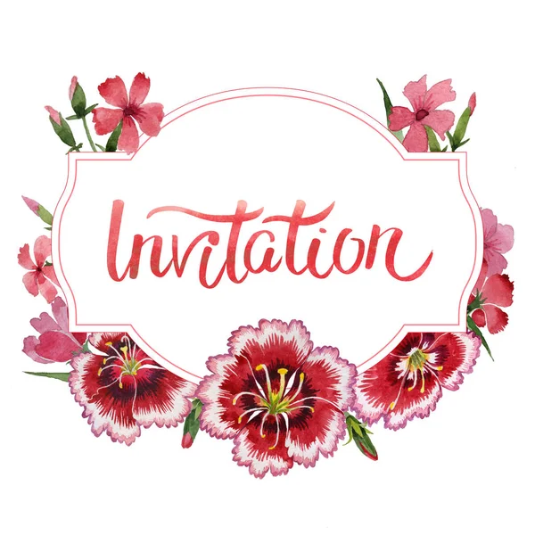 Wildflower carnation flower frame in a watercolor style isolated. — Stock Photo, Image