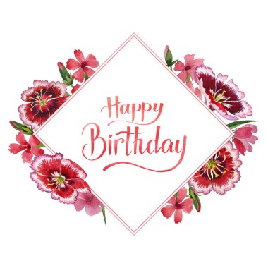 Kır çiçeği karanfil çiçek çerçeve izole bir suluboya tarzında.